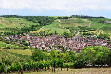 Photo Vignoble Cave Irancy Bourgogne