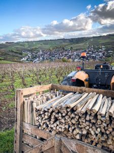 Photo Vignoble Cave Irancy Bourgogne