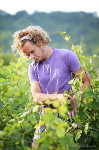 Photo Vignoble Cave Irancy Bourgogne