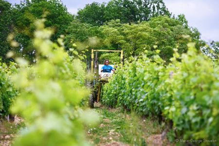 Photo Vignoble Cave Irancy Bourgogne