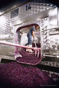 Photo Vignoble Cave Irancy Bourgogne