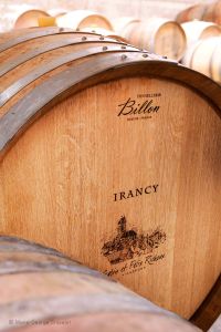 Photo Vignoble Cave Irancy Bourgogne