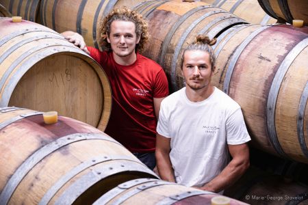 Photo Vignoble Cave Irancy Bourgogne